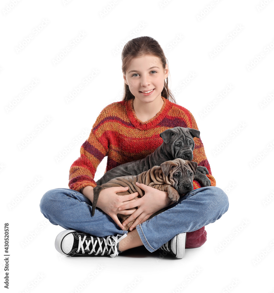 Cute girl with puppies on white background