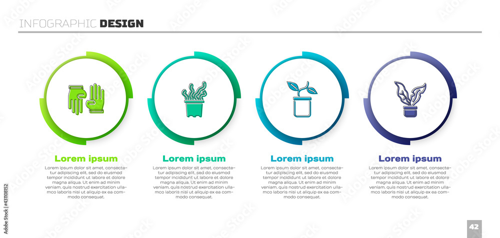 设置橡胶手套，盆栽异国热带植物，植物和。商业信息图模板。矢量