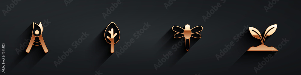 Set Gardening handmade scissors, Forest, Dragonfly and Sprout icon with long shadow. Vector