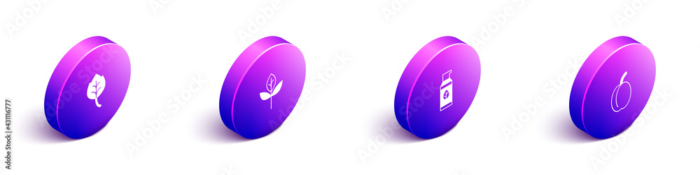 Set Isometric Leaf or leaves, , Organic cosmetic and Plum fruit icon. Vector