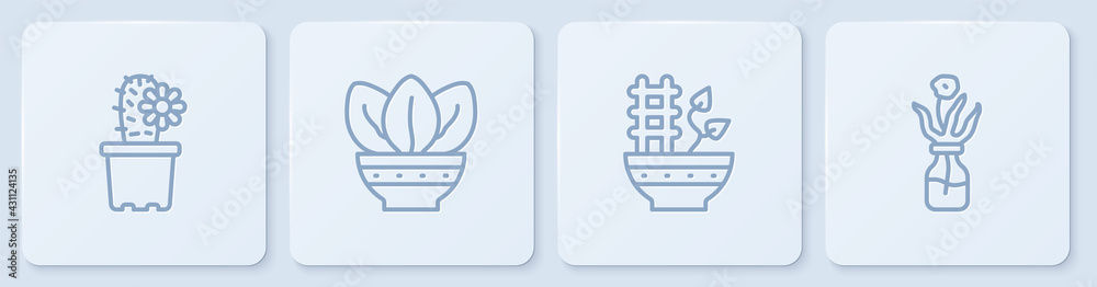 Set line Cactus peyote in pot, Plant, and Flower glass bottle. White square button. Vector