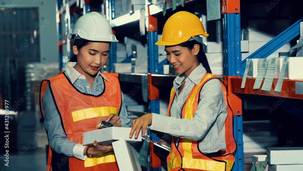 Female warehouse worker working at the storehouse . Logistics , supply chain and warehouse business 