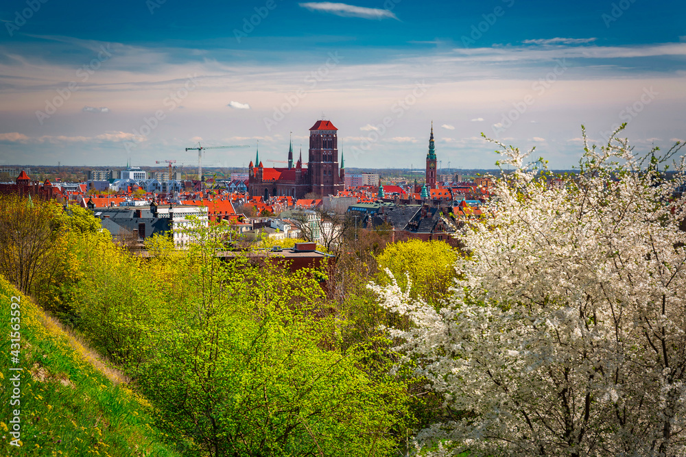 Spring scenery of the old town in Gdańsk around blooming trees. Poland