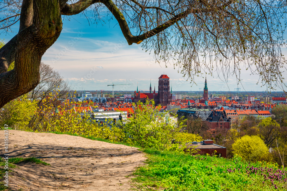 Spring scenery of the old town in Gdańsk around blooming trees. Poland