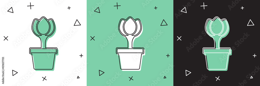 Set Flower tulip in pot icon isolated on white and green, black background. Plant growing in a pot. 