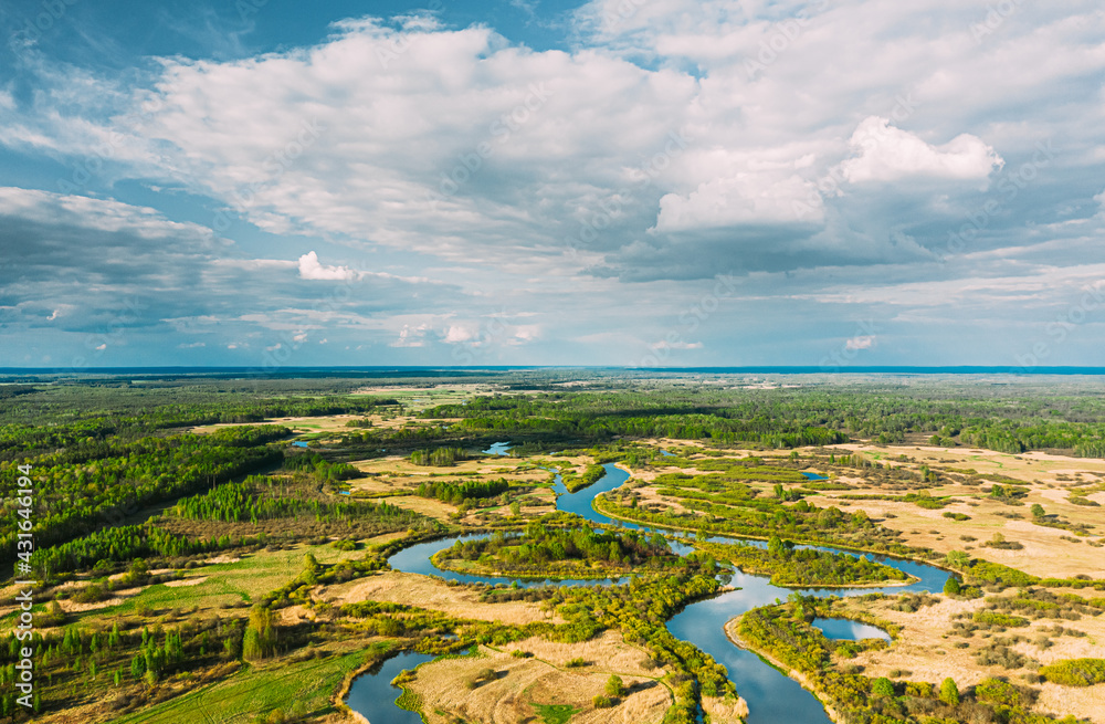 Aerial View Green Forest Woods And River Landscape In Sunny Summer Day. Top View Of Beautiful Europe