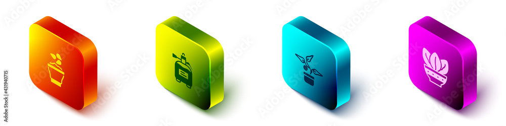 Set Isometric Seeds in bowl, Garden sprayer for fertilizer, Plant pot and icon. Vector