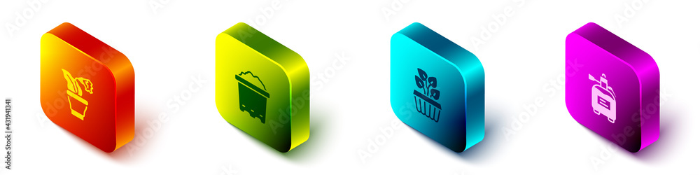 Set Isometric Flower in pot, Pot with soil, Indoor plant ivy a and Garden sprayer for fertilizer ico