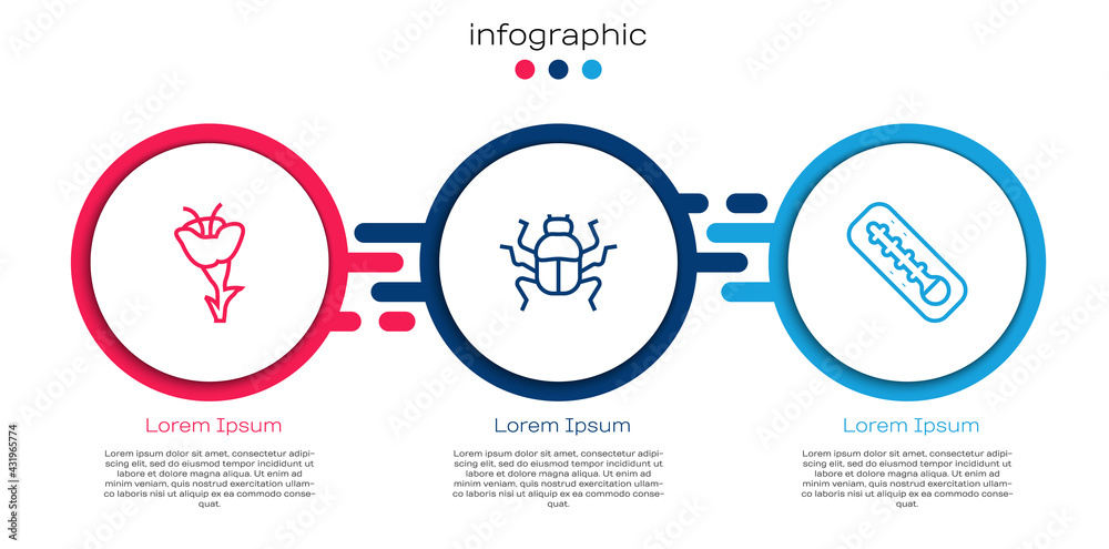 Set line Flower, Beetle bug and Meteorology thermometer. Business infographic template. Vector