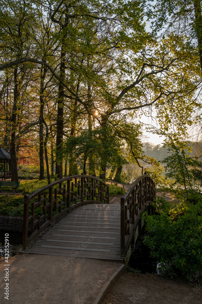 Paysage du Parc de la Tête dOr à Lyon en france au printemps