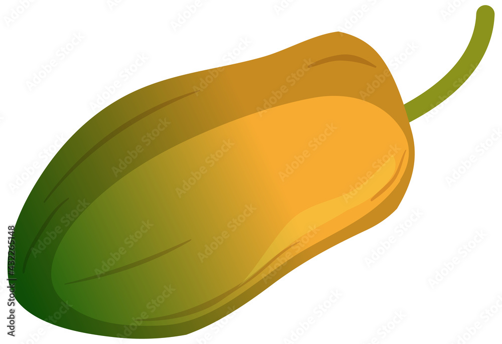 A papaya fruit isolated cartoon style on white background