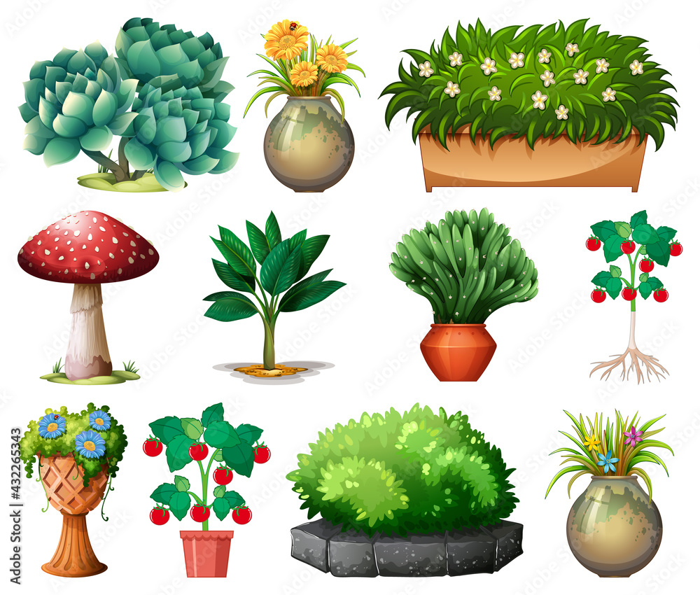 Set of different plants in pots isolated on white background