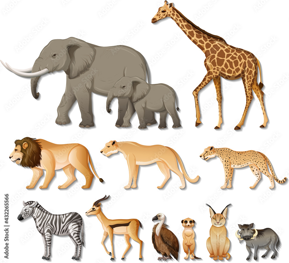 Set of isolated wild african animals on white background