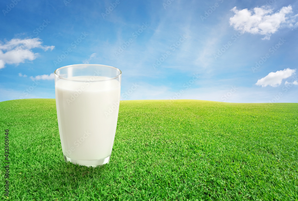 Fresh milk is ready to drink in a glass, placed on the lawn in the yard. On green grass with text sp