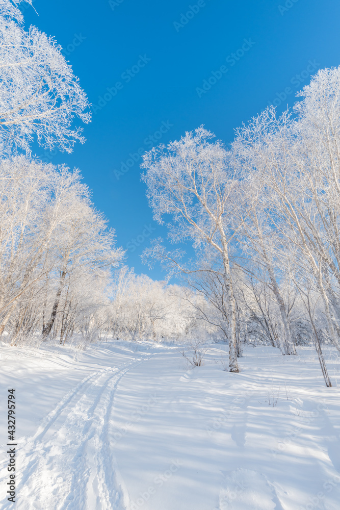 Snow and rime in winter in Changbai Mountain, Jilin Province, China