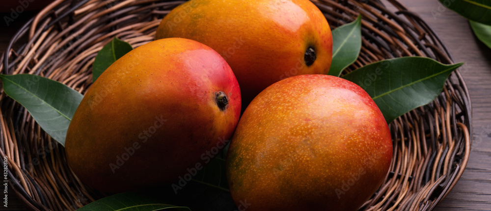 Mango. Fresh mango fruit on a bamboo sieve over dark wooden table background.