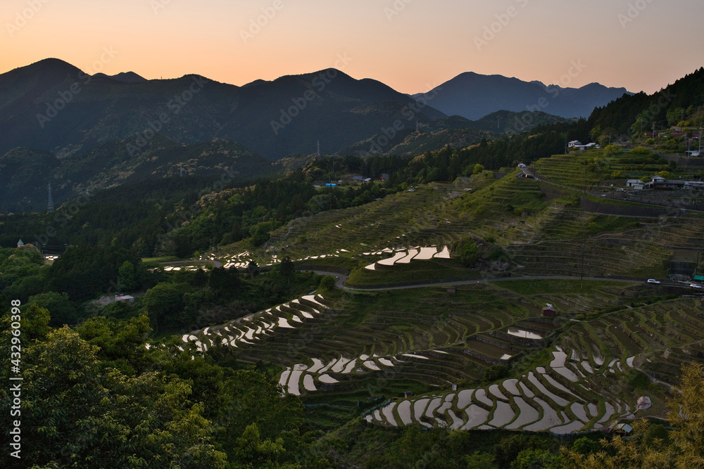 三重県　展望台からの丸山千枚田の夕景