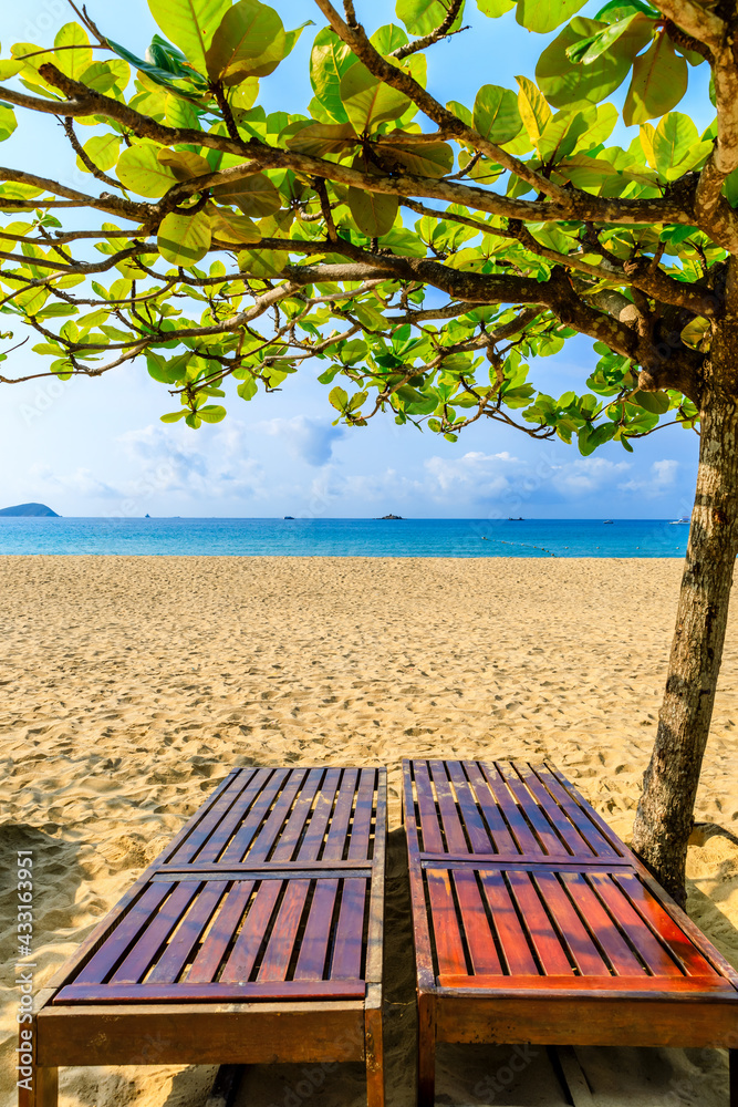 Chair on the beach under the green tree.