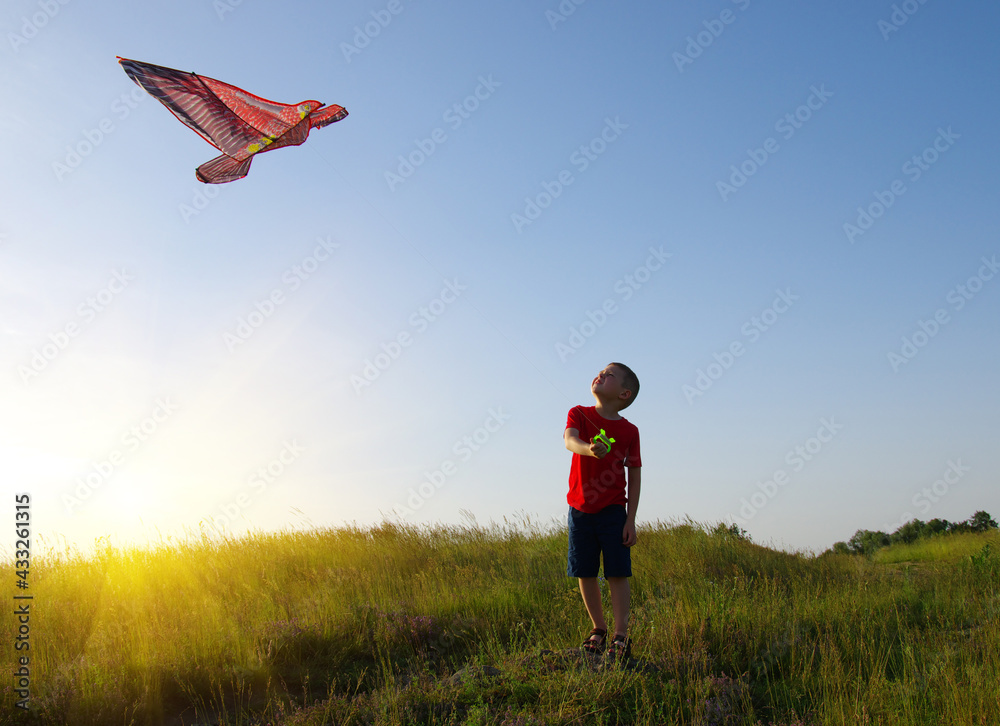  Little boy playing with kite on field