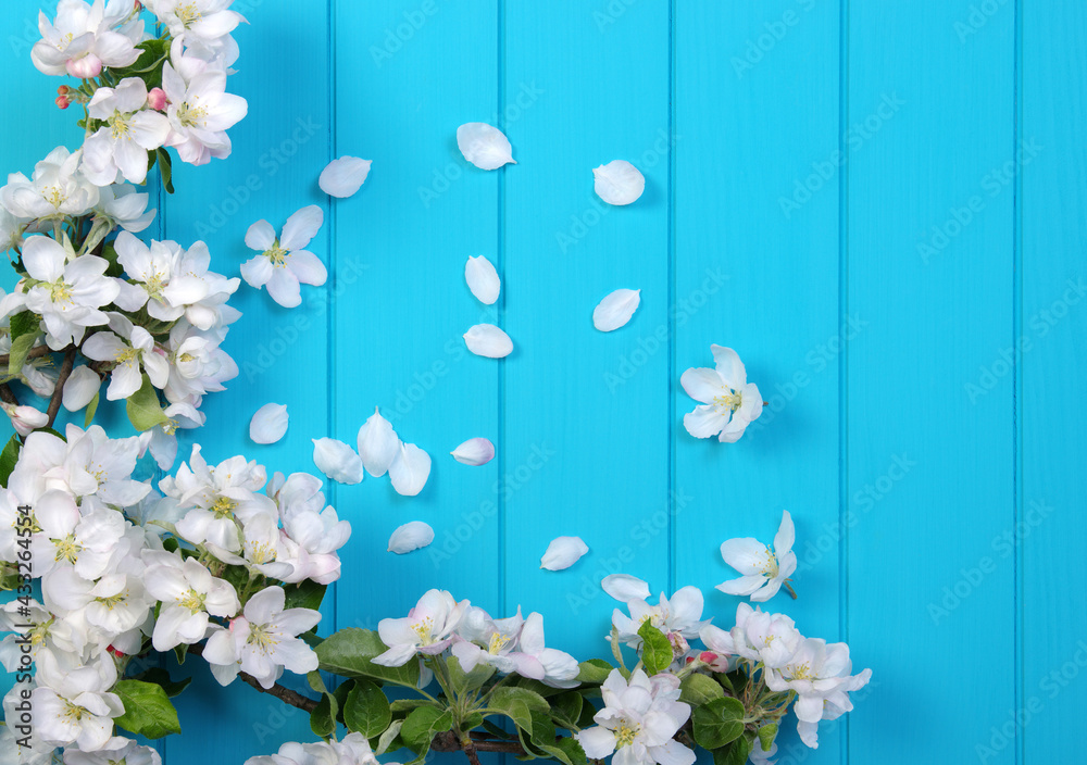 Spring blossom on blue wood