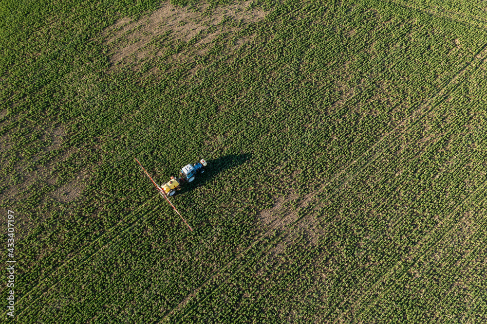 Tractor spraying chemical treatment on an agriculture field. Herbicide treatment or weedkilling in s