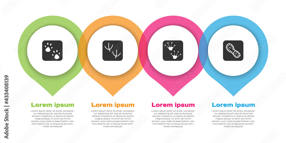 Set Paw print，Dove Paw footprint，Frog and Human footprints鞋。商业信息图模板.V