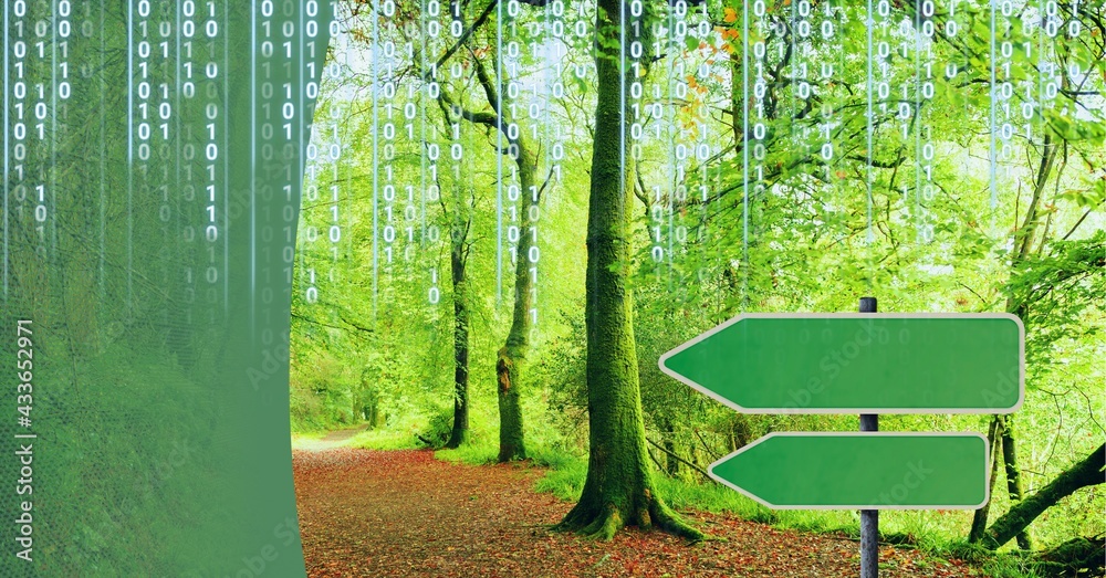 Composition of binary coding over green arrows and forest