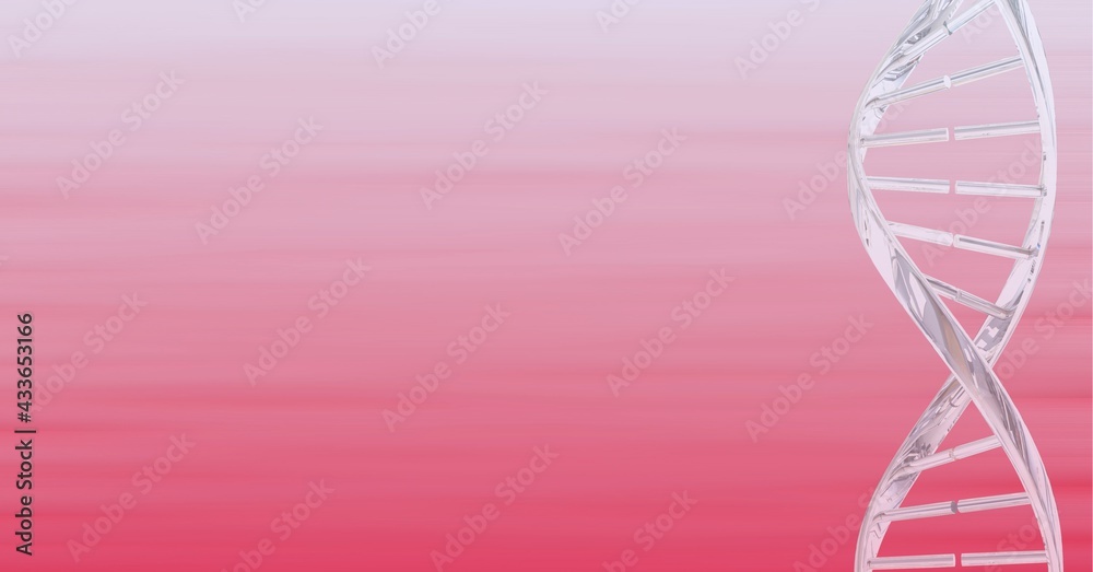 Composition of white 3d dna strand with copy space on pink background