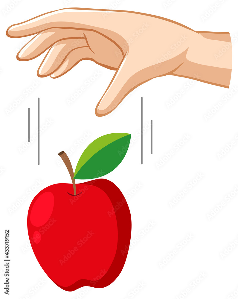 Hand dropping an apple for gravity experiment