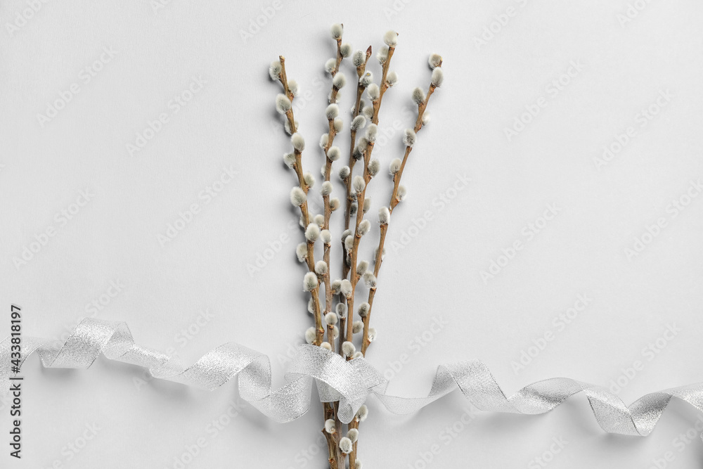 Willow branches on light background