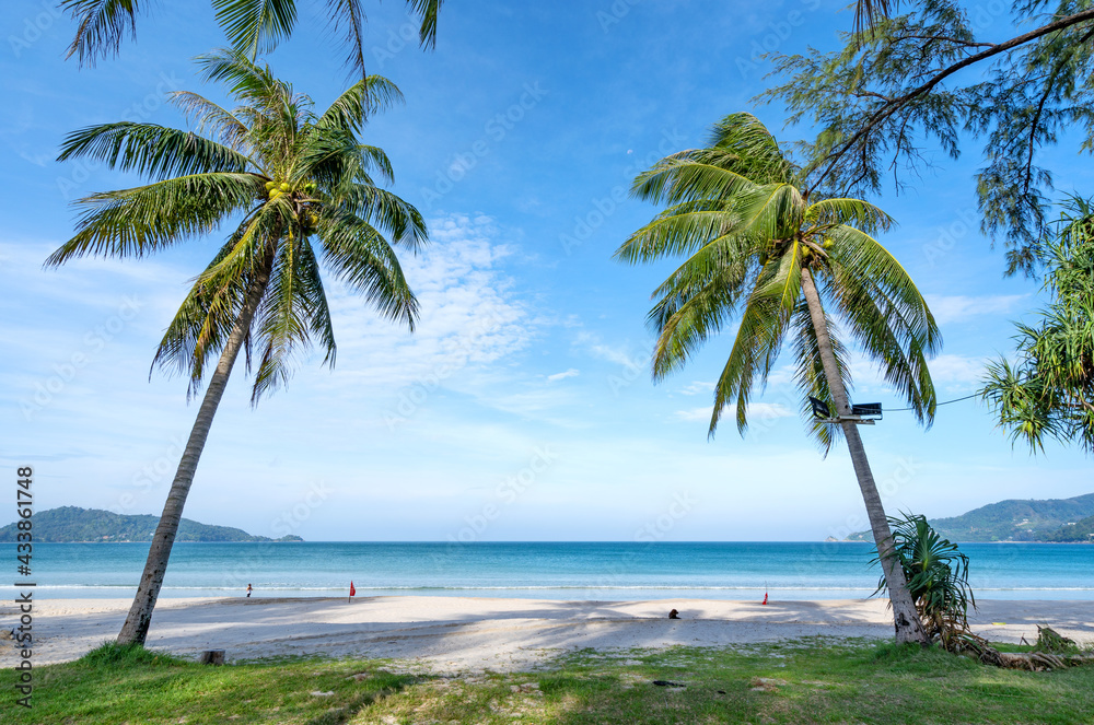 Summer background of Coconut Palm trees on white sandy beach Landscape nature view Romantic ocean ba