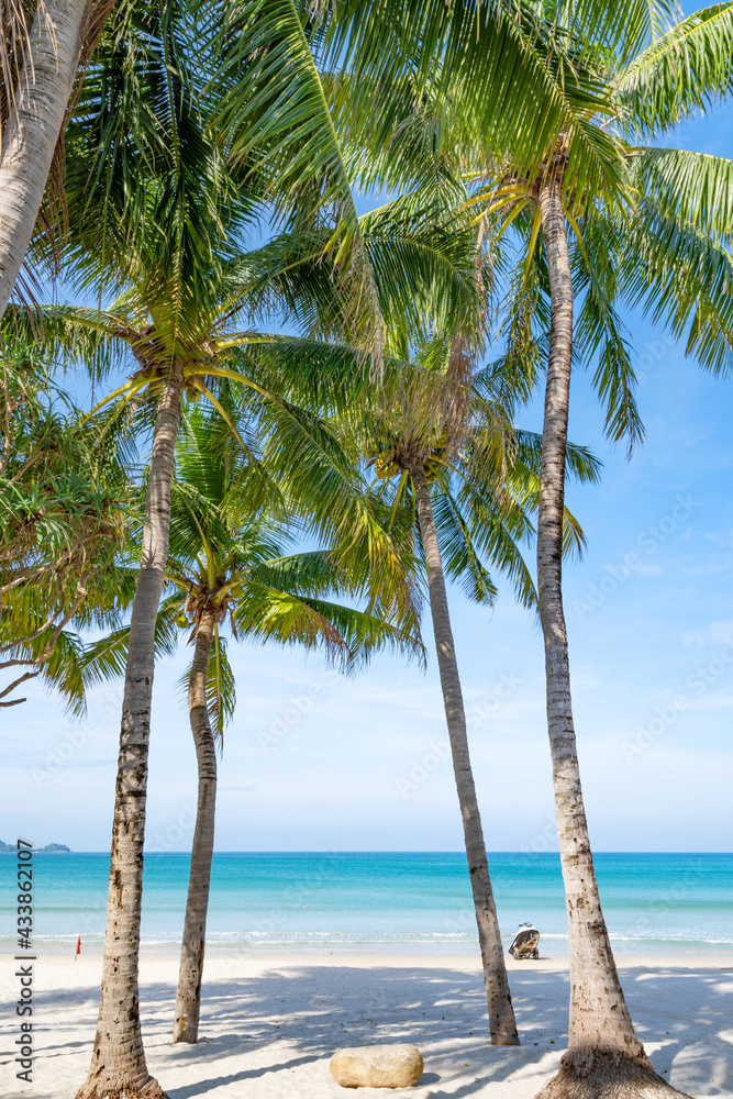 Summer background of Coconut Palm trees on white sandy beach Landscape nature view Romantic ocean ba