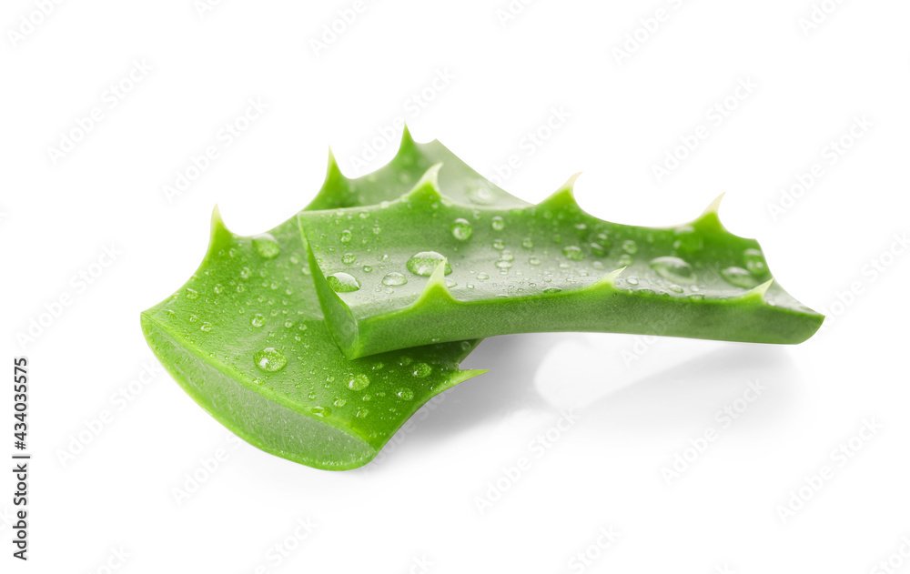 Fresh cut aloe on white background