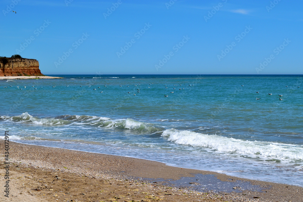 海滩和海洋-黑海海岸-罗马尼亚康斯坦察曼加利亚奥林普