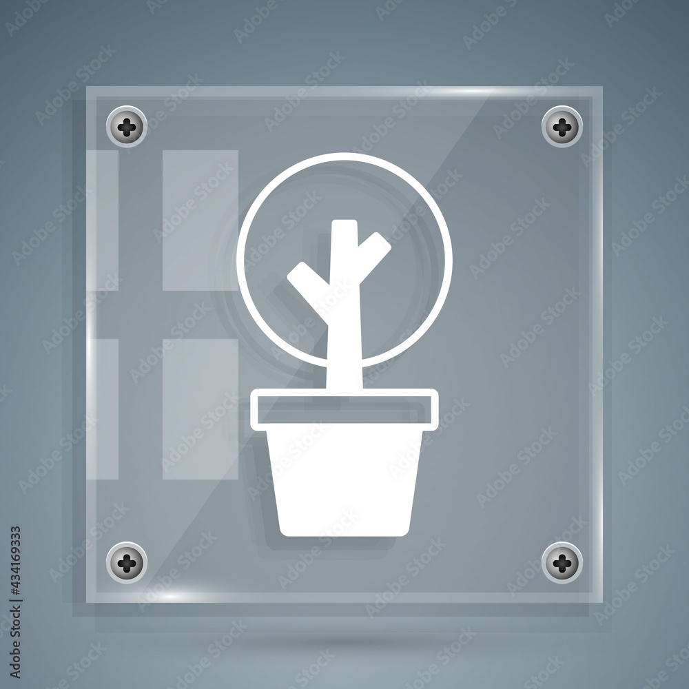 White Tree icon isolated on grey background. Forest symbol. Square glass panels. Vector