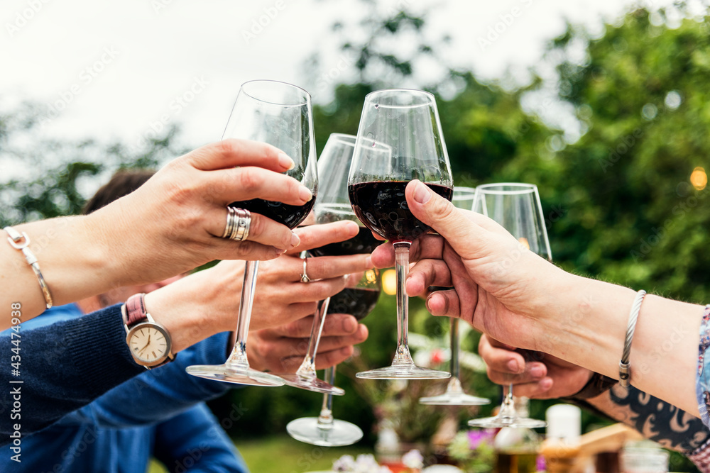 Group of people toasting wine glasses