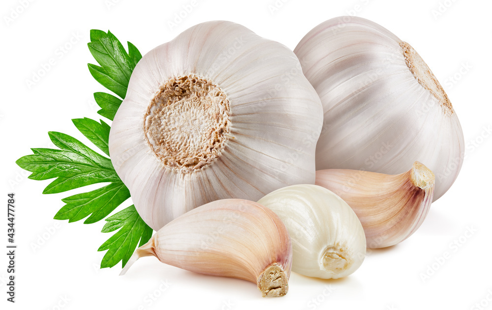 Garlic isolated on white background