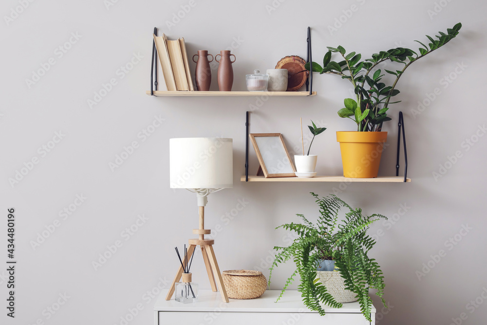 Modern book shelves with houseplants hanging on light wall