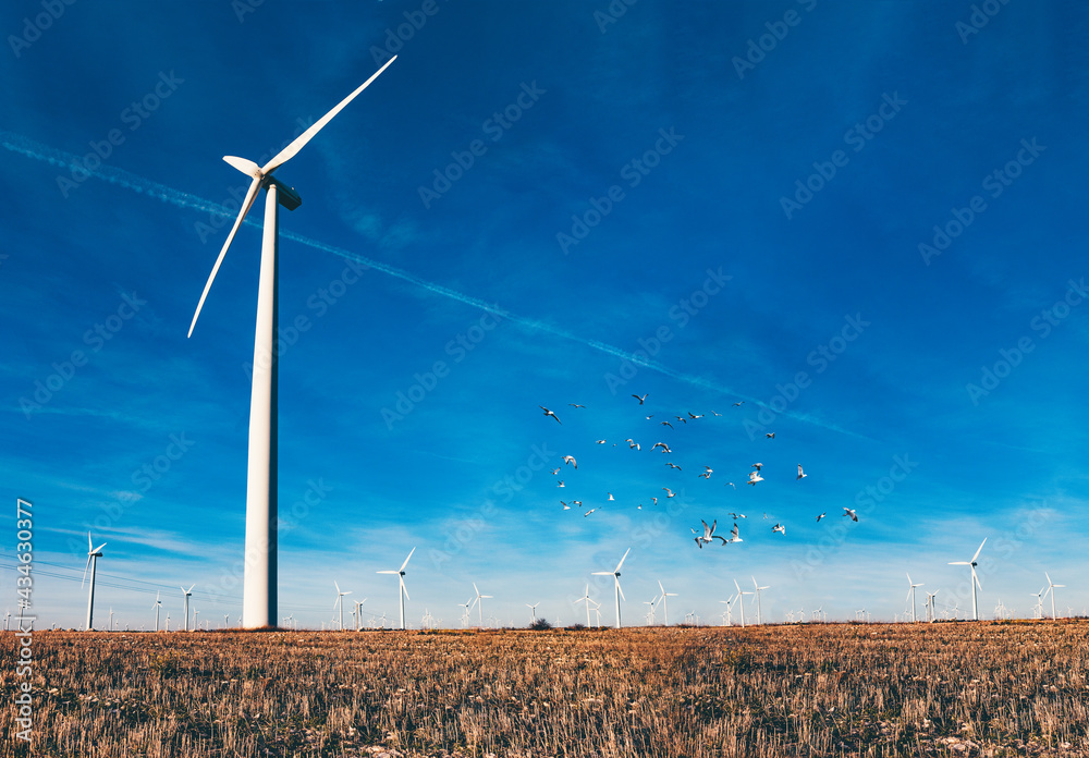 Parque eólico en el campo. Aerogeneradores para la generación de electricidad. Concepto de energía v