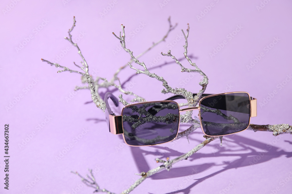 Stylish sunglasses with branch on color background, closeup