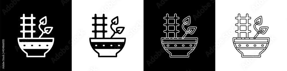 Set Plant in pot icon isolated on black and white background. Plant growing in a pot. Potted plant s