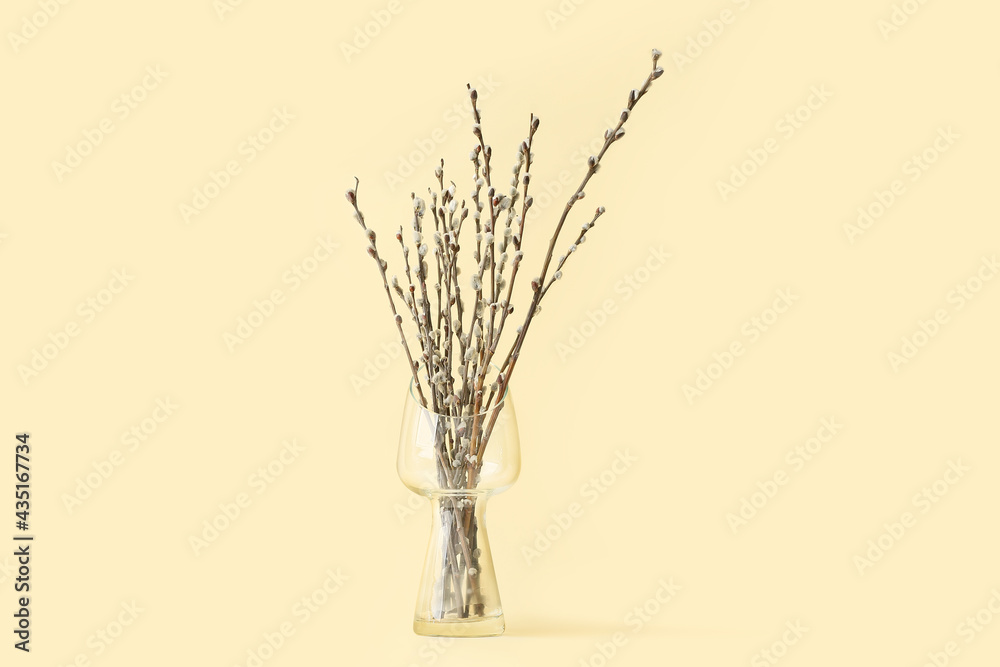 Vase with willow branches on color background