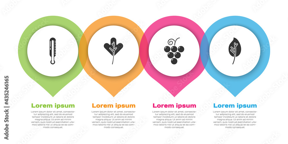 设置气象温度计，树叶或树叶，葡萄果实和树叶或树叶。商业信息图te