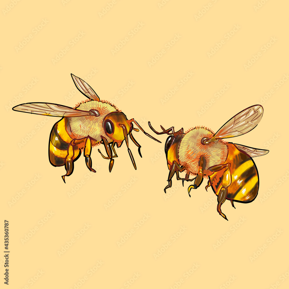 Drawing of bumble bees