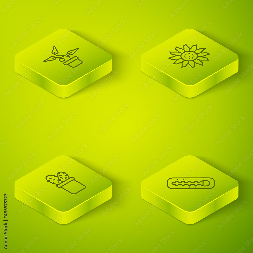 Set Isometric line Flower, Cactus peyote in pot, Meteorology thermometer and Plant icon. Vector