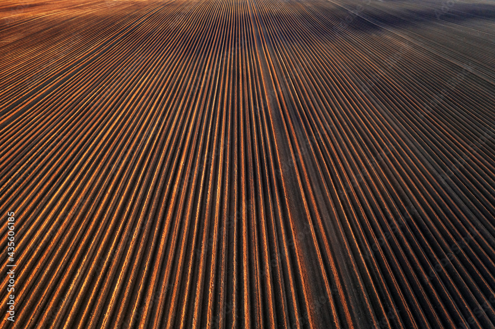 Plowed field prepared for planting crops in spring