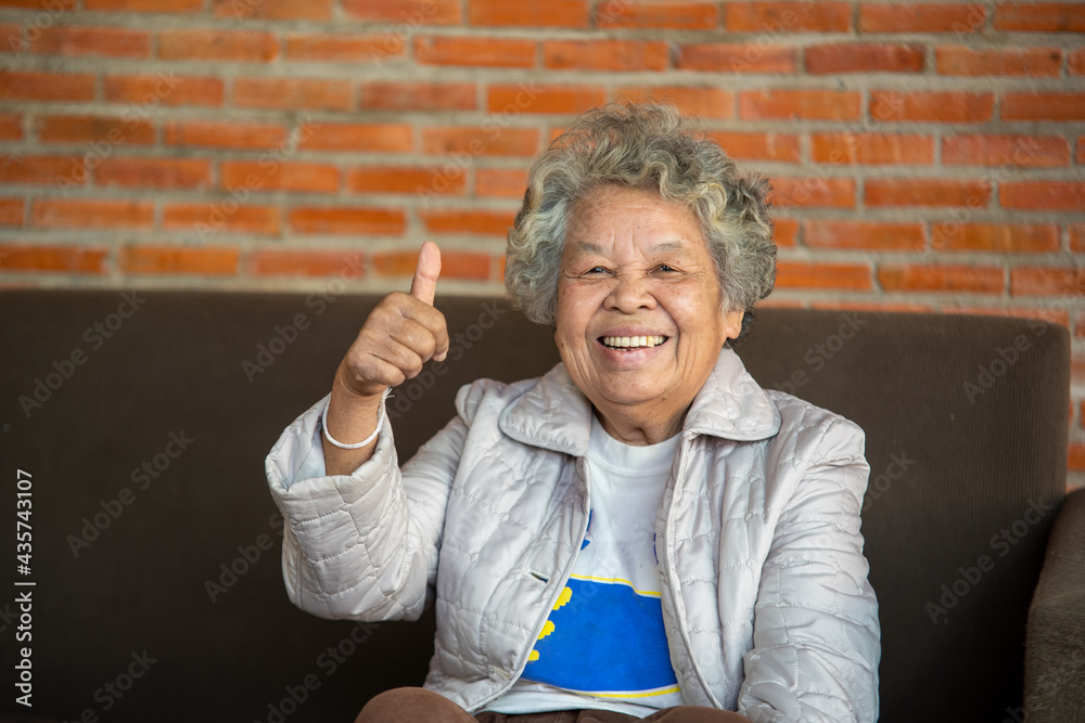 Cheerful senior woman sitting on the couch in cozy living room at home,Portrait of a smiling elderly