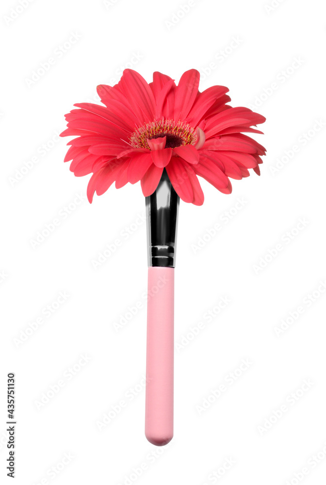 Makeup brush with gerbera flower on white background