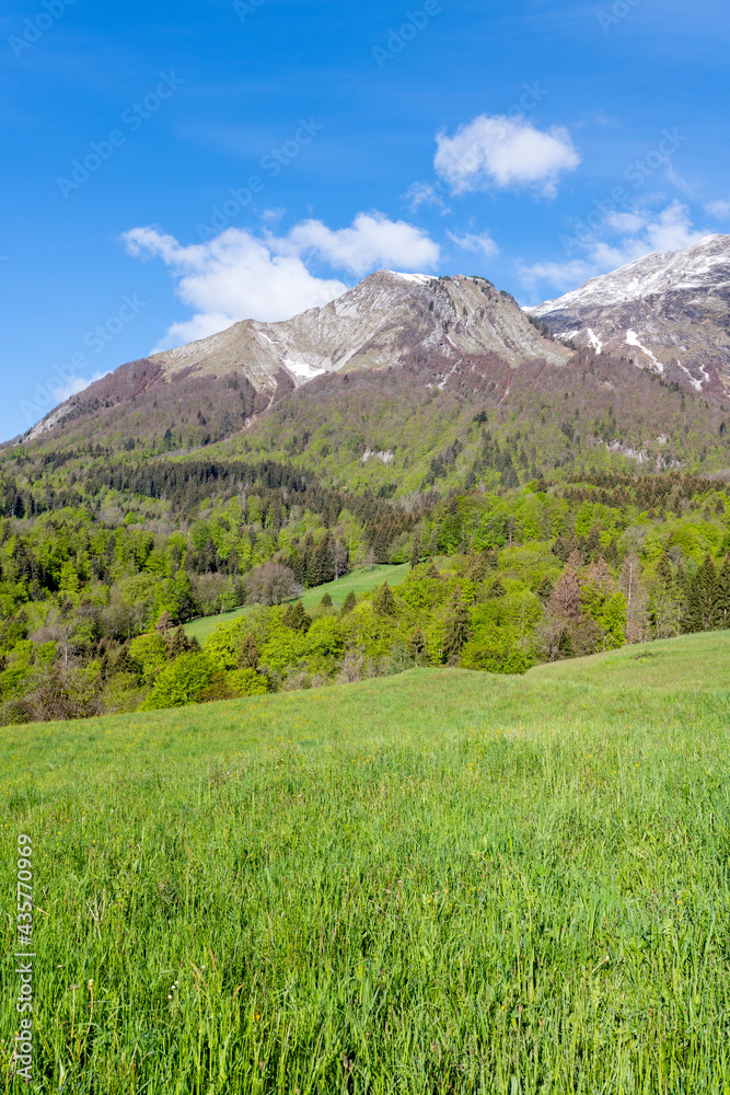 Paysage de montagne dans le parc Naturel Régional des Bauges en Savoie dans les Alpes françaises au 