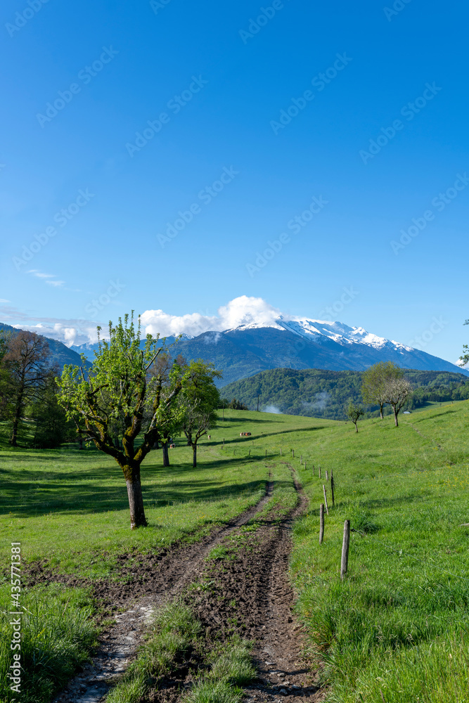 Paysage de montagne dans le parc Naturel Régional des Bauges en Savoie dans les Alpes françaises au 